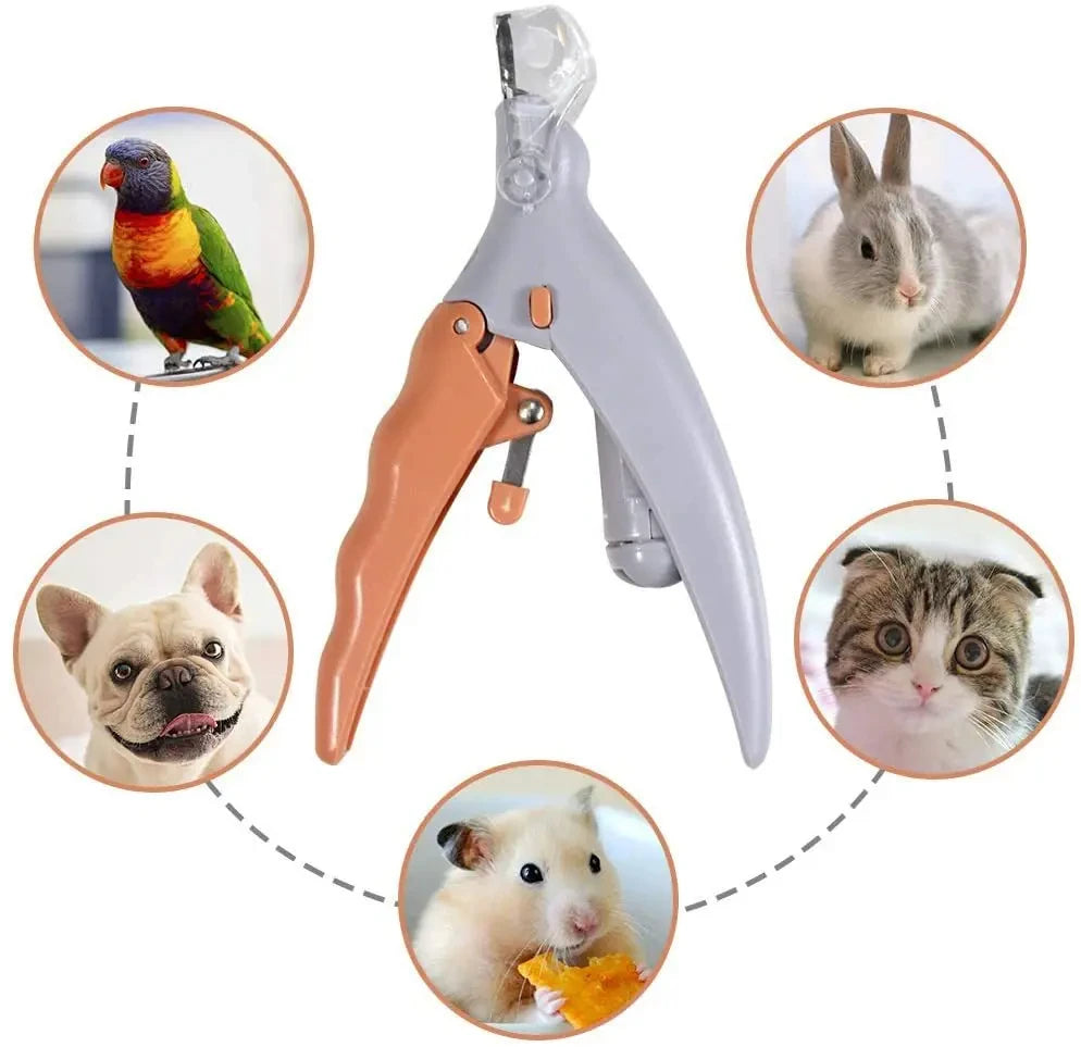 Professional Pet Nail Clipper Scissors with LED Light Cat Dog Nail Clippers Tool Scissors Nail Toeclaw Cutter Scissors Pet Suppl